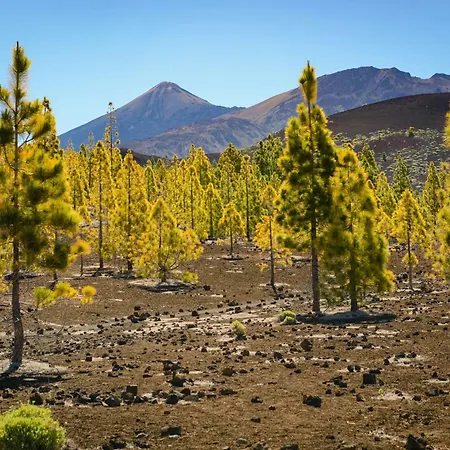 Sea La Vie - Piscina, Parking & Tenis Tabaiba