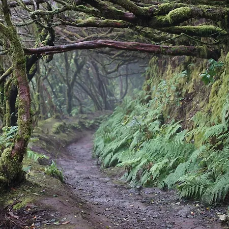 Lejlighed Sea La Vie - Piscina, Parking & Tenis Tabaiba