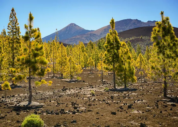 Sea La Vie - Piscina, Parking & Tenis Tabaiba
