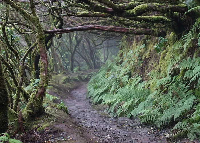 Lejlighed Sea La Vie - Piscina, Parking & Tenis Tabaiba
